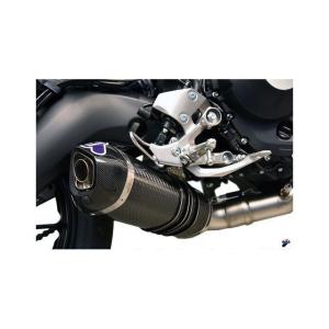AKRAPOVIC（アクラポビッチ） C 650 GT Slip-On Line（Titanium） for