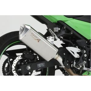 ボートラップ 250TR ローダウン三点セット サスペンション メッキ