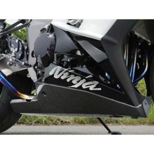 才谷屋ファクトリー Ninja1000 アンダーカウル 仕様 黒ゲル Saitaniya Facto...