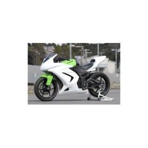 才谷屋ファクトリー ニンジャ250R フルカウル＆シングルシート/ストリート 仕様 白ゲル Sait...