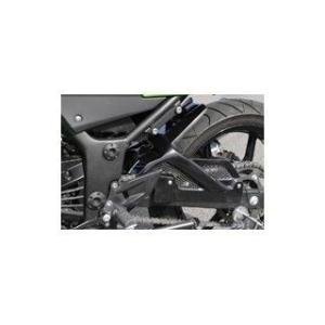 才谷屋ファクトリー ニンジャ250R リアフェンダー 仕様 黒ゲル Saitaniya Factor...