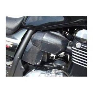 才谷屋ファクトリー FZR250R ライトカバー/レース 仕様 黒ゲル