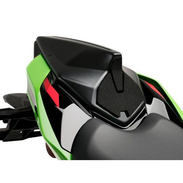 プーチ ZX-10R ZX-10RR リアシートカウル（カーボンプリント） Puig