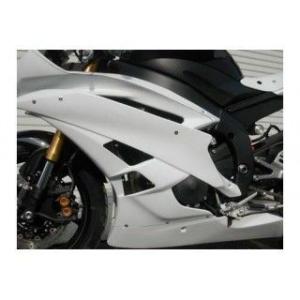 才谷屋ファクトリー YZF-R6 センターカウル Saitaniya Factory