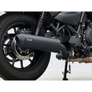 テラモト スーパーカブC125 T-REV mini SP キット チタン TERAMOTO