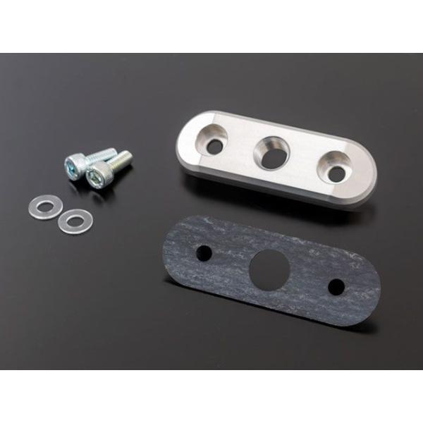 ピンゲル 汎用 Ver.2 アダプタープレート 50mm-1/4 PINGEL バイク