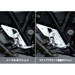 NITRO RACING（ナイトロレーシング） 汎用 コニカルチタンサイレンサー