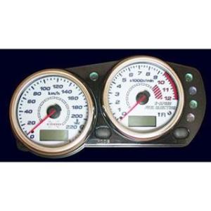 オダックス ZRX1200 DAEG EL METER PANEL for SPORTS BIKES...