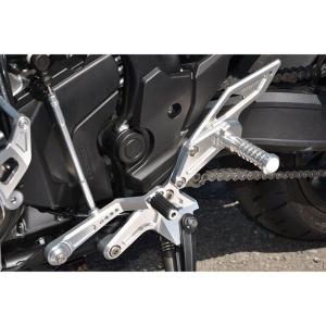 ホンダ HAWK 11 ホーク11 2022-2024 (8BL-SC85) DANMOTO カーボン