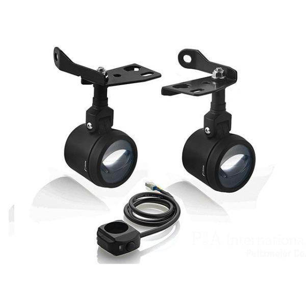 リゾマ Pan America フォグライト（ブラック） RIZOMA