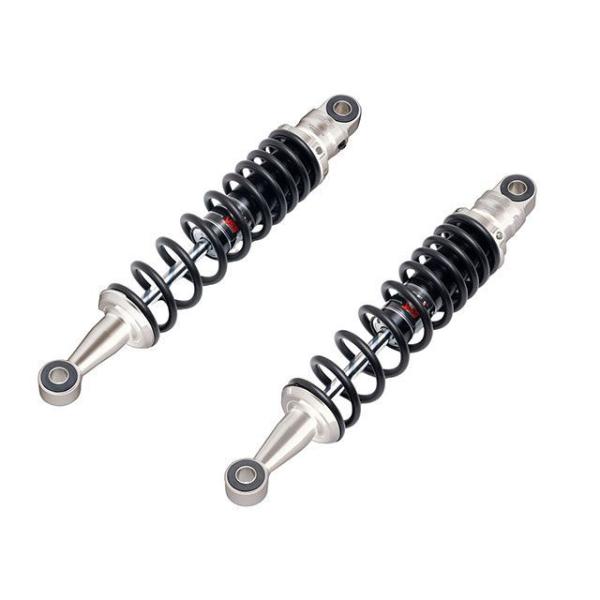 エフェックス CL250 ローダウンキット 約25mmダウン（シルバー/ブラック） EFFEX