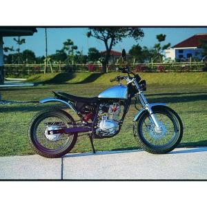 CLEVER WOLF（クレバーウルフ） TRX850 アンダーカウル 白ゲル