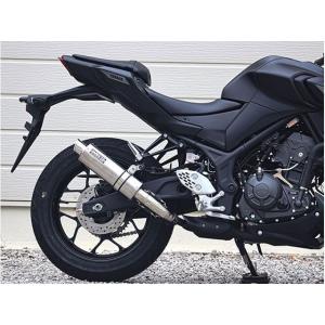 AKRAPOVIC（アクラポビッチ） スリップオンマフラー（カーボン） JMCA