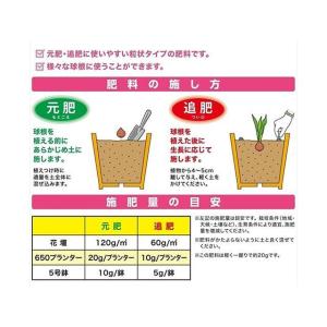 朝日アグリア 球根の肥料 500g ASAHI...の詳細画像1