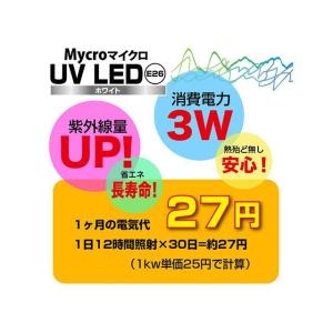 ゼンスイ Mycro UV LED E26 ホ...の詳細画像2