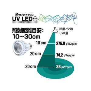 ゼンスイ Mycro UV LED E26 ホ...の詳細画像3