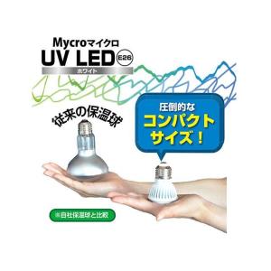 ゼンスイ Mycro UV LED E26 ホ...の詳細画像5