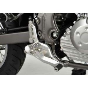 カワサキ（Kawasaki） ZX-10R 16-20 バックステップ【LIGHTECH