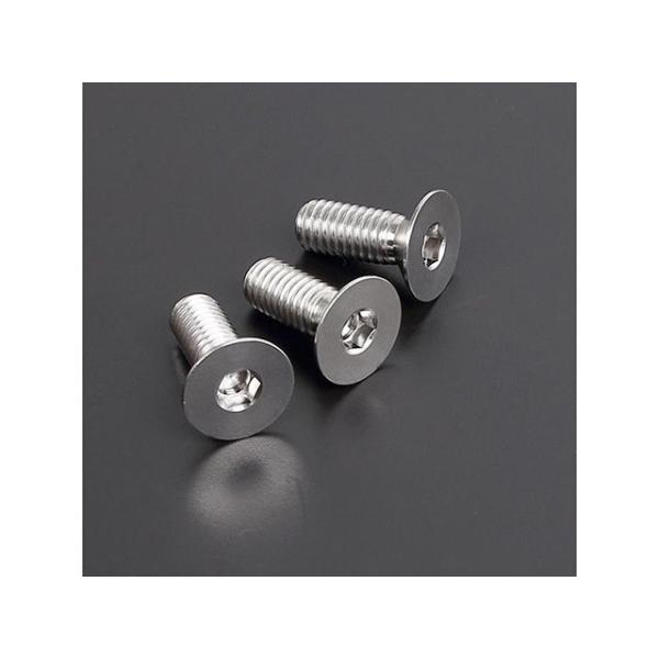 ジータ 65SX チタン ブレーキディスクボルト フラットヘッド M6×16（3本） フロント ZE...