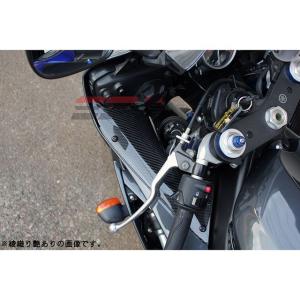 正規品／SPEEDRA YZF-R6 インナーサイドパネル 左右セット ドライカーボン カラー：綾織り艶あり SPEEDRA バイク