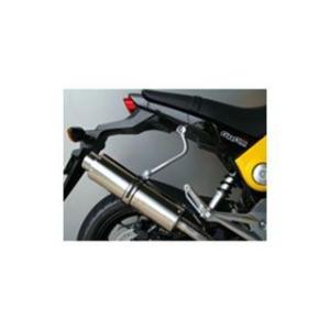 ポッシュフェイス ZRX1200 DAEG LEDテールランプユニット カラー
