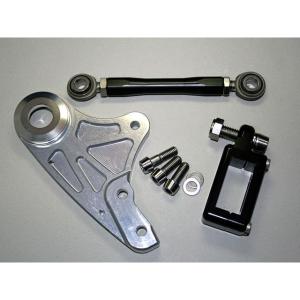 Agras アグラス ZRX1100 ZRX1200 キャリパーサポート ラジアルマウント