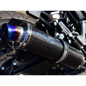 BEAMS（ビームス） 11日クーポン配布 バイク用 マフラー V-STROM250 R