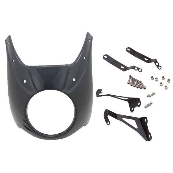 ワンダーリッヒ RnineT Pure RnineT Pure フロントカウル Daytona カタ...