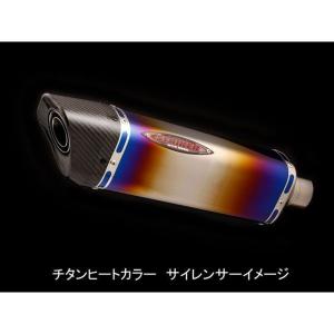 正規品／ストライカー GSX-R1000 RACING CONCEPT INTER MODEL スリップオン OFF-Type タイプB サイレンサ…の商品画像