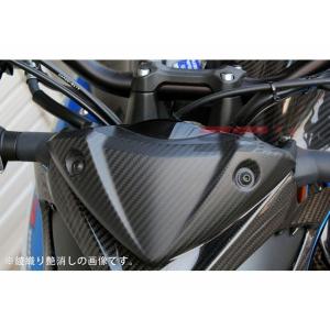 Barracuda（バラクーダ） エアロスポーツウインドシールド GSX-S 1000