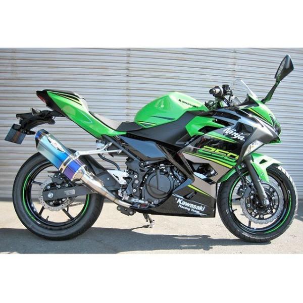 ビートジャパン Ninja250 NASSERT-R Evolution Type II チタンレー...