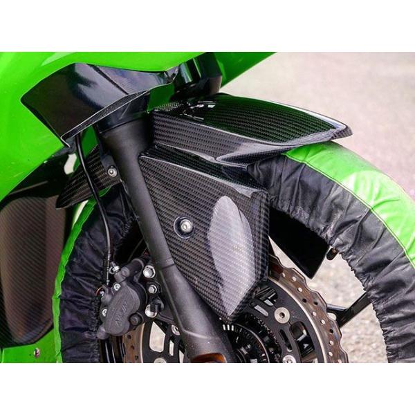 才谷屋ファクトリー Ninja250/400 18〜Ninja250/400 フロントフェンダー 仕...