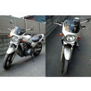 ワールドウォーク バリオス2 汎用ビキニカウル DS-01 typeAERO（パールメテオグレー） ...