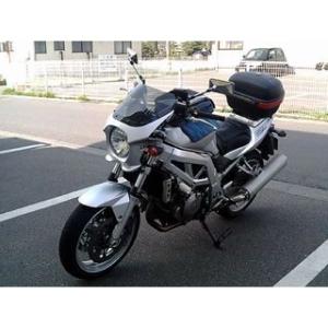 ワールドウォーク 汎用ビキニカウル DS-01 typeR（ソニックシルバーメタリック） WW