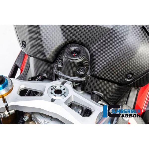 イルムバーガー Panigale V4 Panigale V4 S イグニッションスイッチカバー マ...