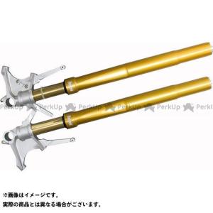 OHLINS（オーリンズ） FGRT207 倒立タイプ フロントフォーク FG R/T