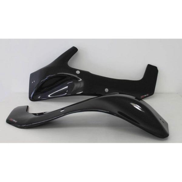 S2コンセプト ZX6R Swingarm protection KAWASAKI ZX6R 200...