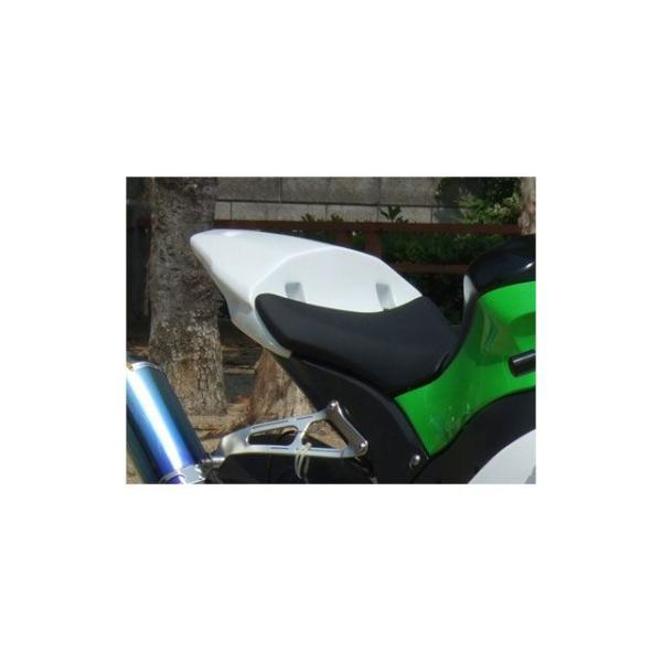 クレバーウルフ ZX10R シートカウル CLEVERWOLF