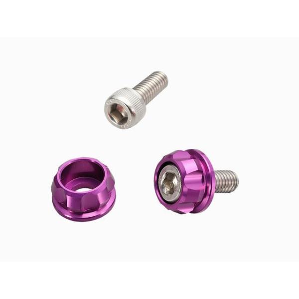 デイトナ PREMIUM ZONE シリーズ ナンバーホルダーセット M6 カラー パープル DAY...