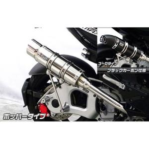 のぶ BEET（ビート） ビートジャパン Z900/SE NASSERT Evolution TypeII