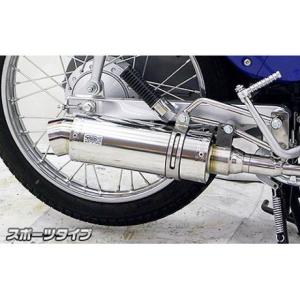 ACP（エーシーピー） ホーネット250/DX ホーネット250用 アンダー