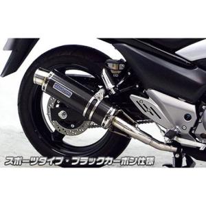 BEAMS ビームス R-EVO スリップオンマフラー(2本出し) サイレンサー