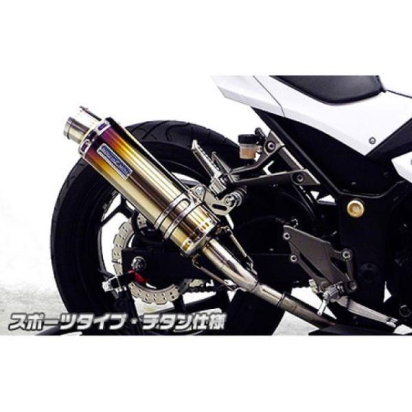 正規品／ウイルズウィン ニンジャ250 Ninja250用 スリップオンマフラー スポーツタイプ サ...