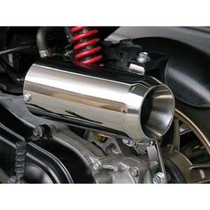 WirusWin スマート ディオ・スマート ディオZ4 FI車用 サイレンサー型