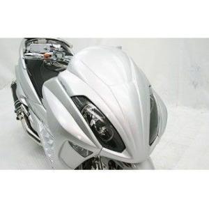 スカルビーニ TM EN 125/144 サイレンサー フルカーボン ツー