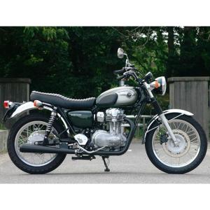 W650（〜08年） ステンレスショート リアフェンダー（ルーカステール付