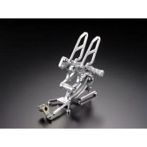 ツルノテクニカルサービス NSF100 レーシングステップキット TTS