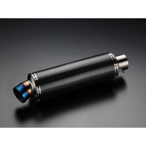 BEAMS（ビームス） Dio50(JBH-AF68) マフラー SS300 カーボン B143-08