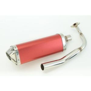 リンパーツ ズーマー Breathing GP Racing Rin Parts : モトメガネ