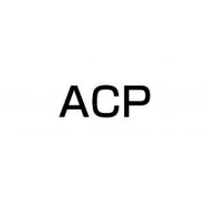 ACP Z250FT Z250FT エルサウンド ショート管 カラー ブラック ACP